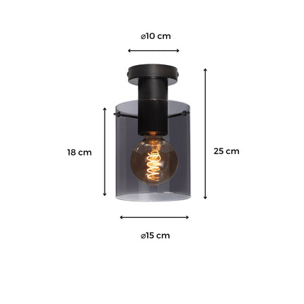 DMQ Elmira Plafondlamp Smoke Glass