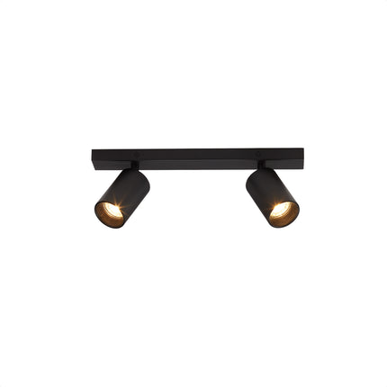 DMQ Plafondspot Elmont 2 Zwart