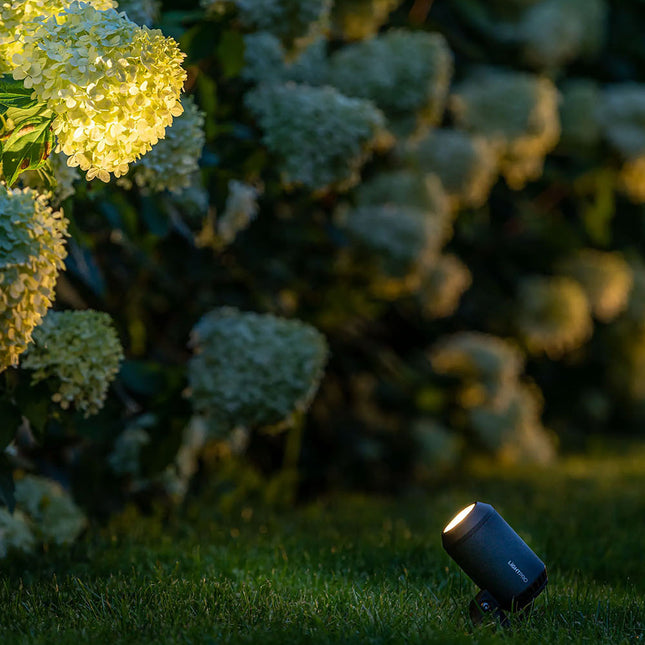 Lightpro Castor 4 12V