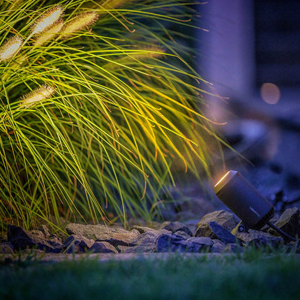 Lightpro Castor 4 12V